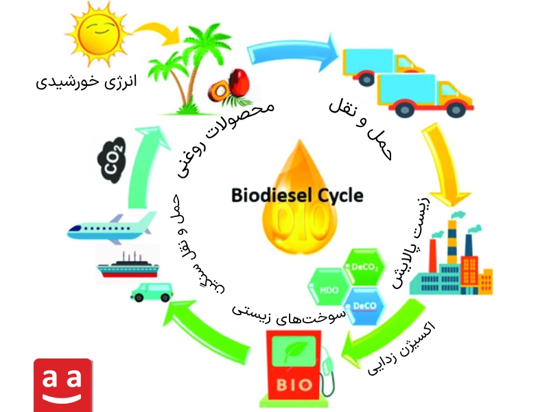 منابع بایودیزل به عنوان سوخت پاک| رادمن