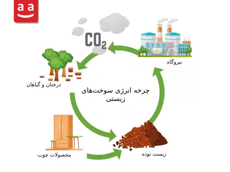 چرخه سوخت‌های زیستی| رادمن