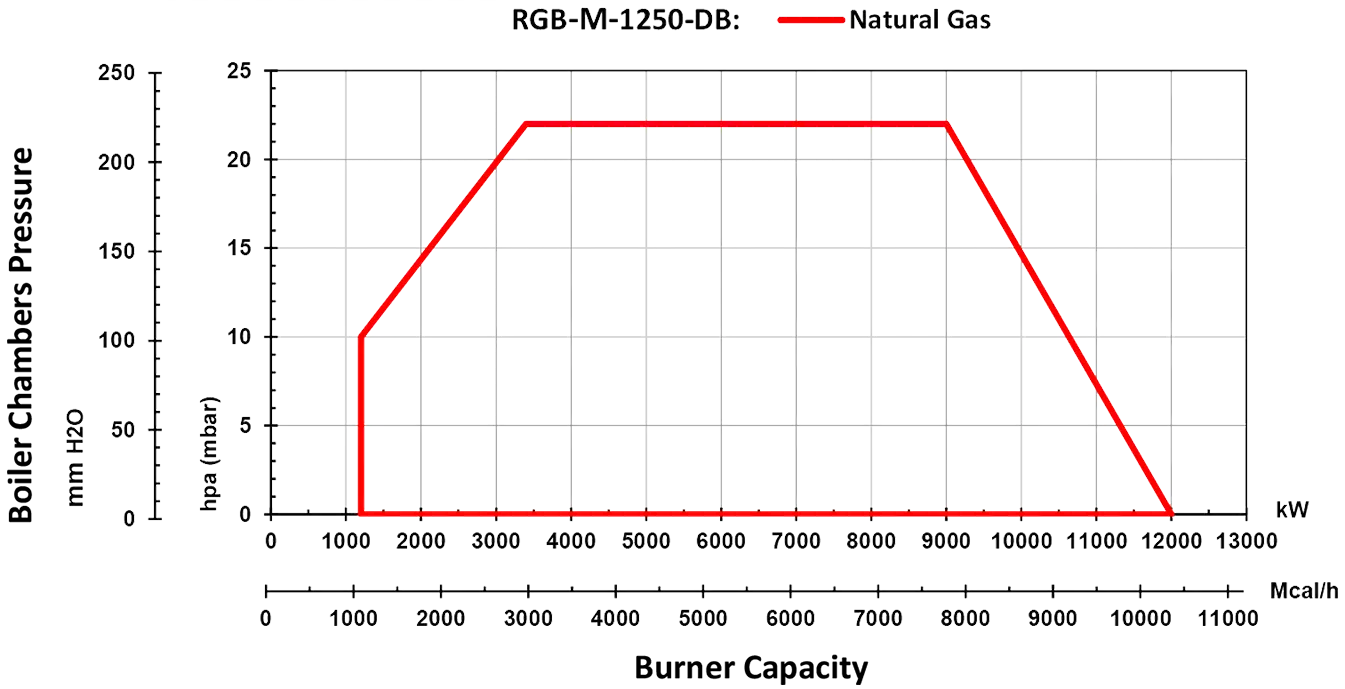 RGB-M-1250-DB-Diagram ELECTRICAL DUAL BLOCK GAS BURNER