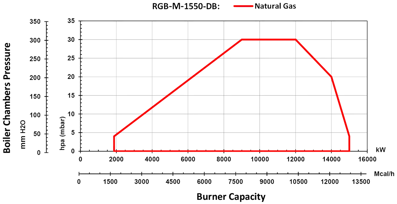 RGB-M-1550-DB-Diagram ELECTRICAL DUAL BLOCK GAS BURNER
