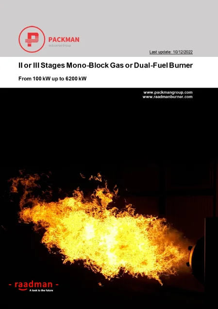 staging monoblock burner 100kw up to 6200kw 2022-12-10-Raadman Burner