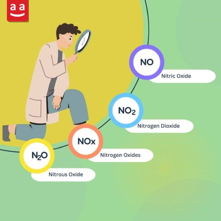 NOx has different components such as Nitric Oxides | raadman 