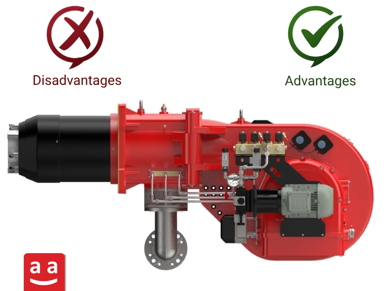 Advantages and Disadvantages | raadman