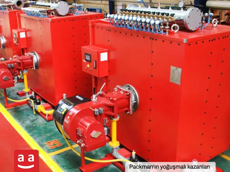Ateş Borulu Kazan Türlerine ve Bileşenlerine Genel Bakış 10 Packman'ın yoğuşmalı kazanları | Raadman