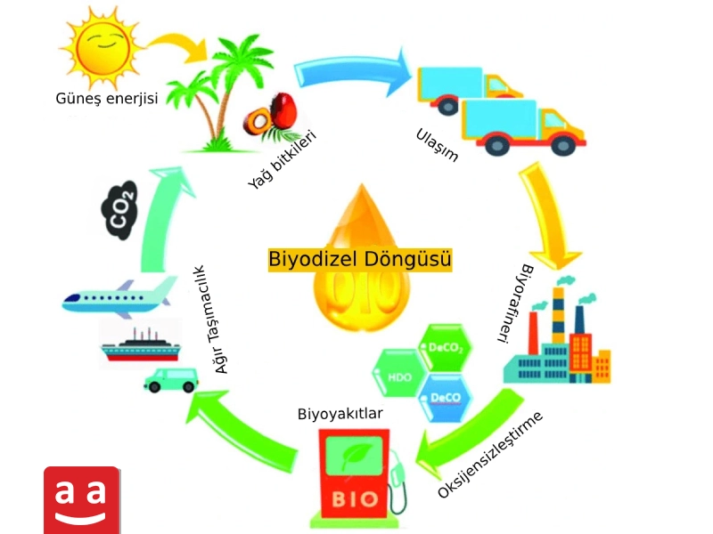 Biyodizel | raadman 