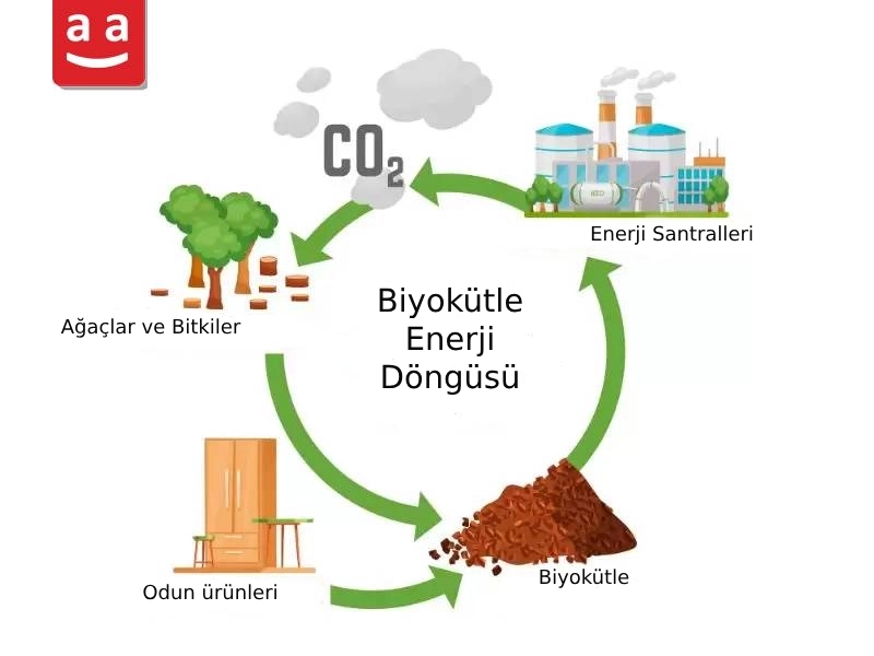 Biyokütle Enerjisi | raadman