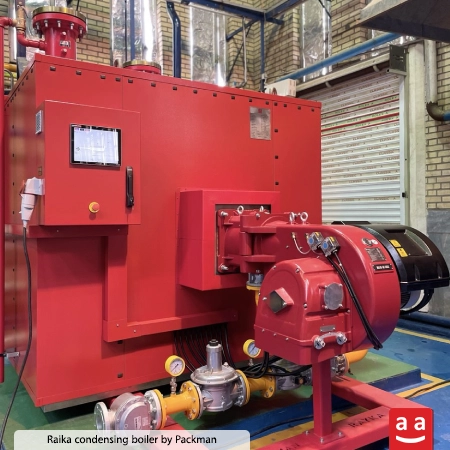 Raika Condensing Boiler | raadman