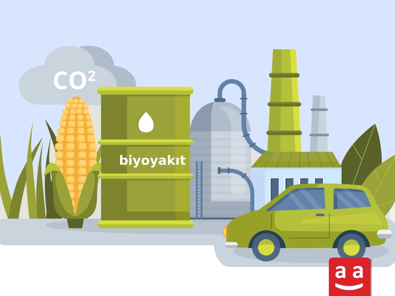Alternatif Yakıtlar İçin Kapsamlı Rehber: Gelecek İçin En İyi Seçenek Hangisi? 2 Biyoyakıt; Bitkilerden ve Atıklardan Sürdürülebilir Enerji | raadman