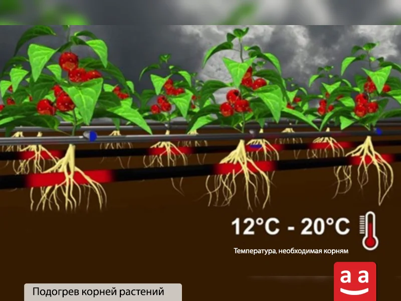 Подогрев корней растений | Raadman