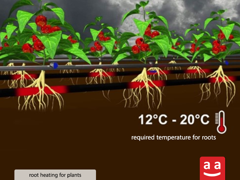 Floor Heating | raadman